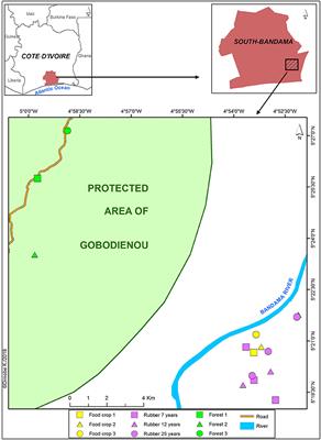 Soil Health Changes Over a 25-Year Chronosequence From Forest to Plantations in Rubber Tree (Hevea brasiliensis) Landscapes in Southern Côte d'Ivoire: Do Earthworms Play a Role?